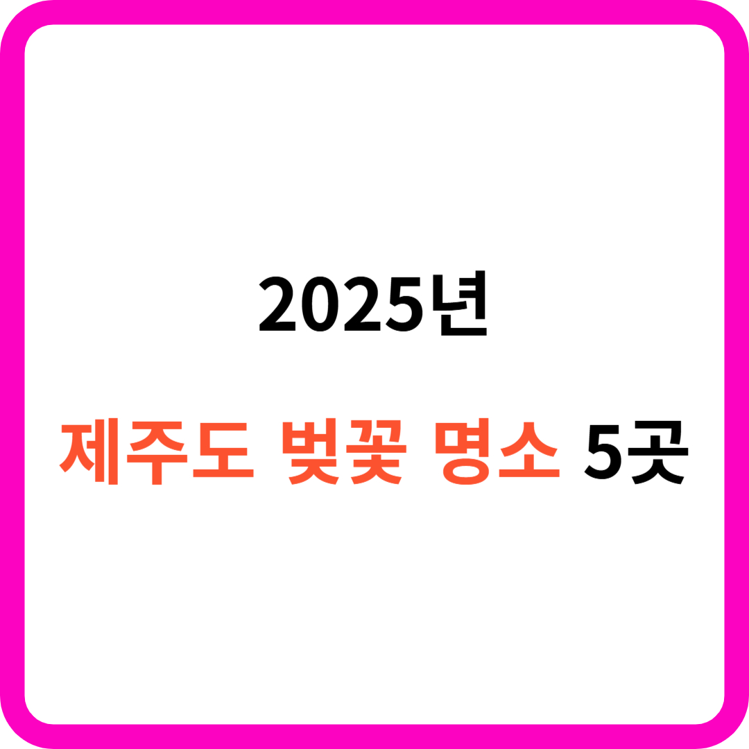 2025년 제주도 벚꽃 명소 5곳, 가장 아름다운 벚꽃길은?