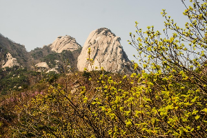 등산이 처음이라면? 부담 없이 시작할 수 있는 코스 인왕상 서울
