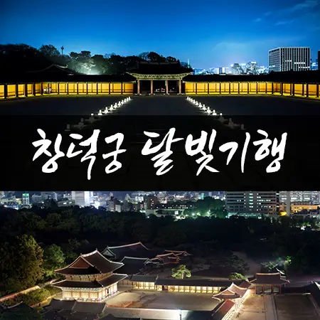 창덕궁 야간개장