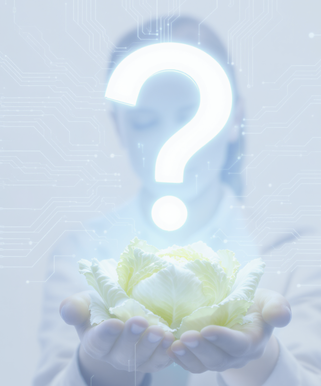 위 건강 지킴이 &amp;#39;양배추&amp;#39;&amp;#44; 생으로? 즙으로? 어떻게 먹어야 최고일까