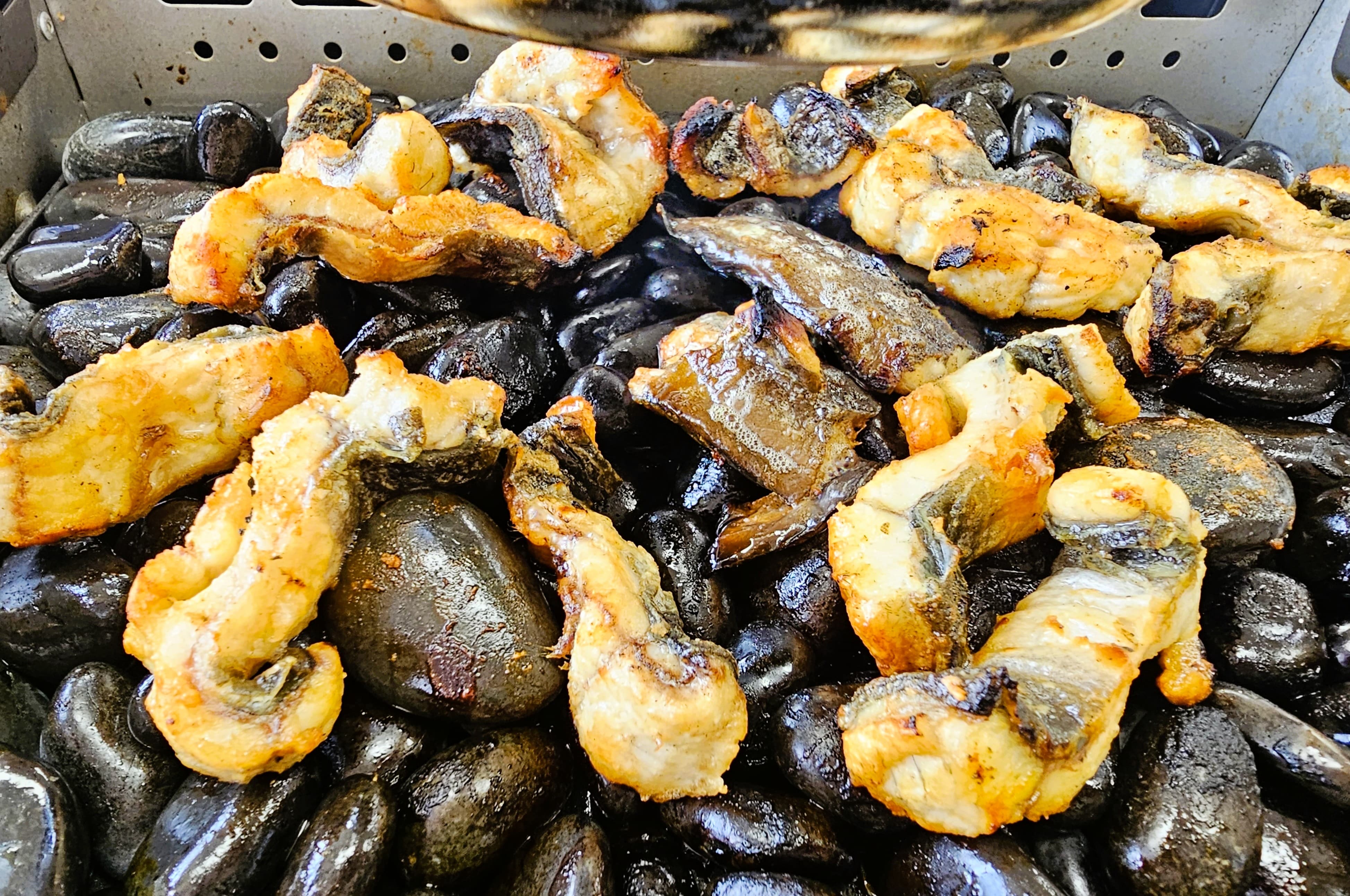 강화도 갯벌 장어 - 일대교 몽돌장어