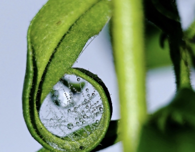 무공해 차량 혜택