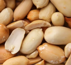 비타민E가 많은 음식