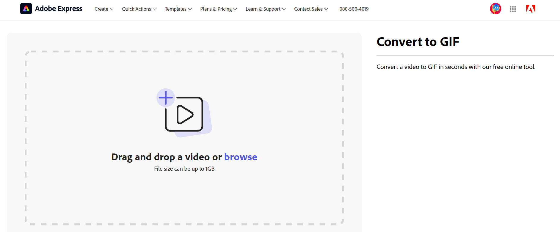 Adobe Express 이용하기