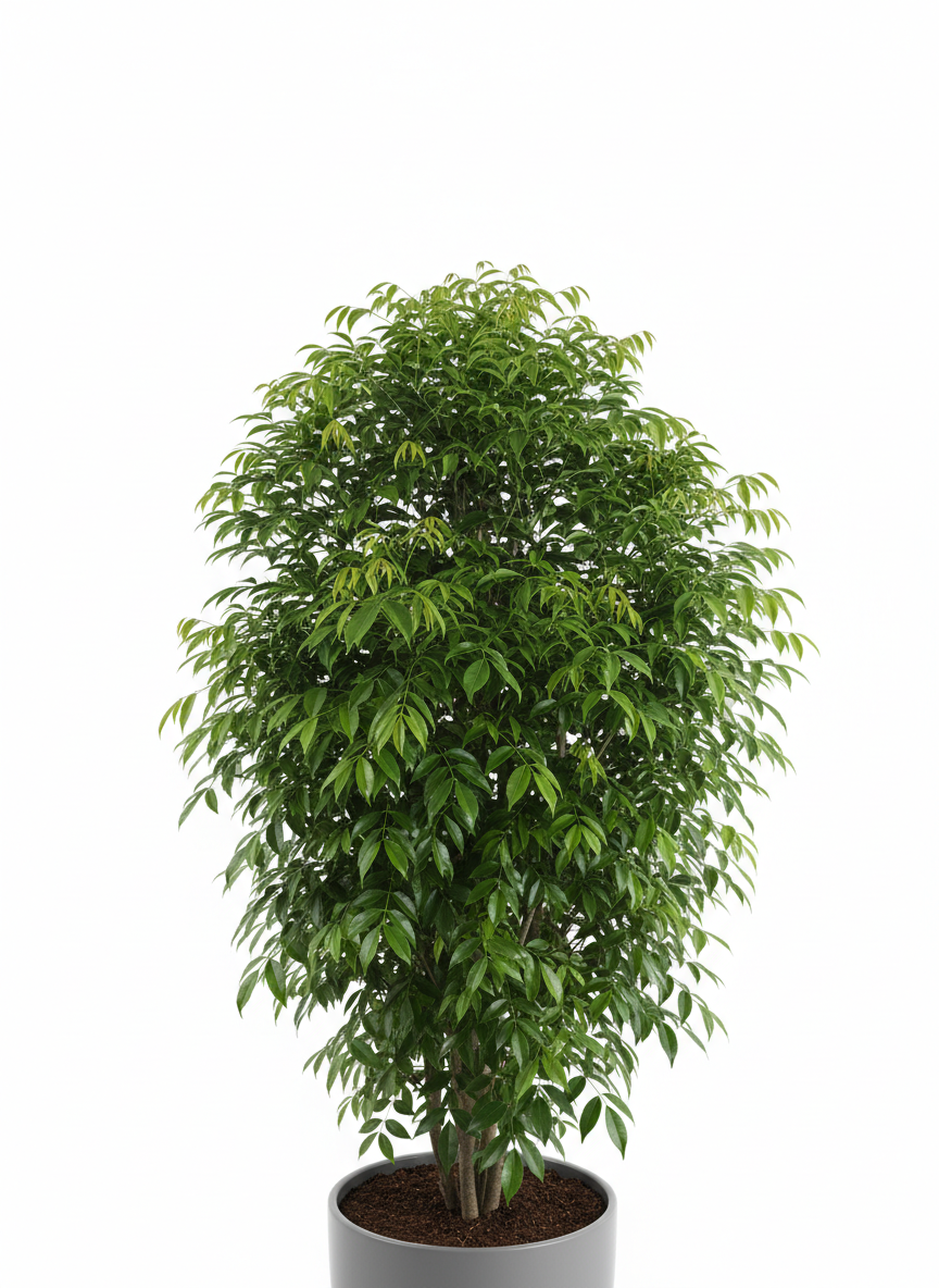 대자연 속으로! 캐나다 서부에서 즐기는 이색 액티비티 추천