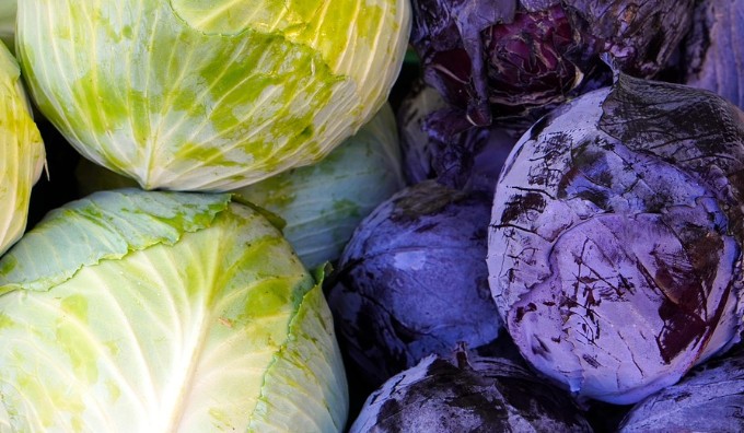 역류성식도염에 좋은 음식 양배추 효능과 영양성분, 보관방법, 먹는법