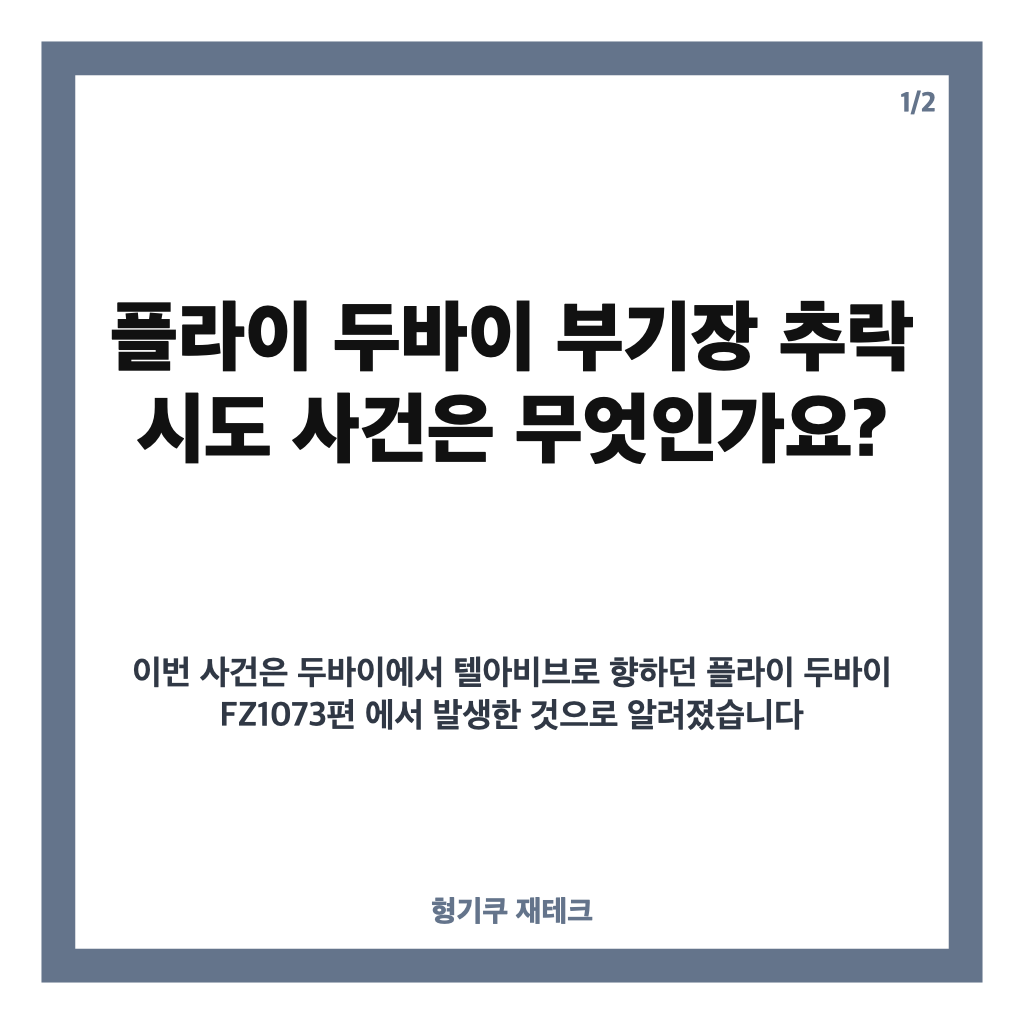 플라이 두바이 부기장 추락 시도 사건, 기장 공격부터 비상착륙까지 카드뉴스 1