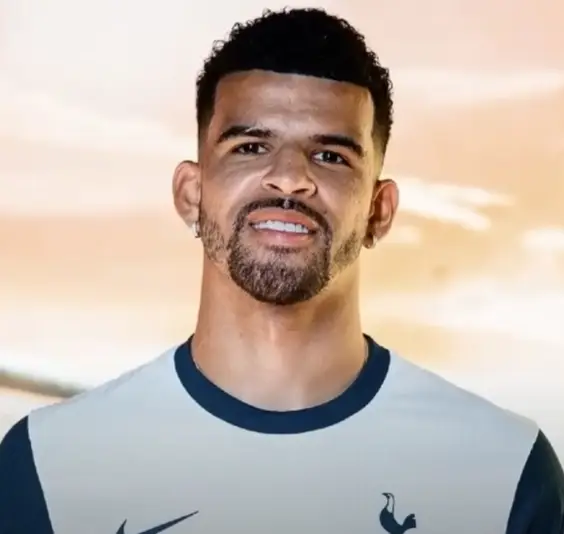 토트넘-도미닉-솔란케-사진