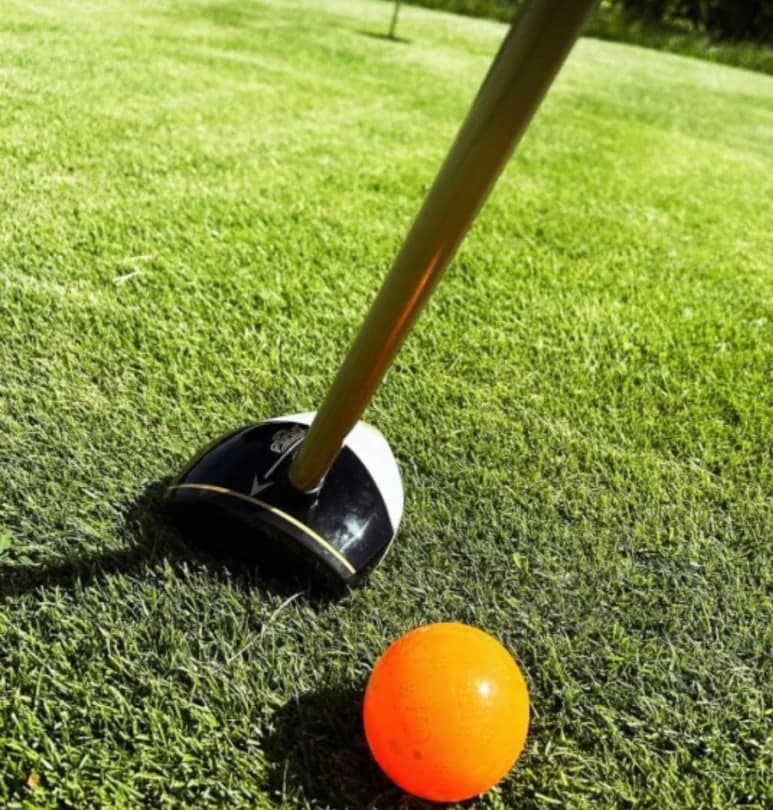 파크골프 관련 자격증 총정리 비교표로 한눈에 알아보기