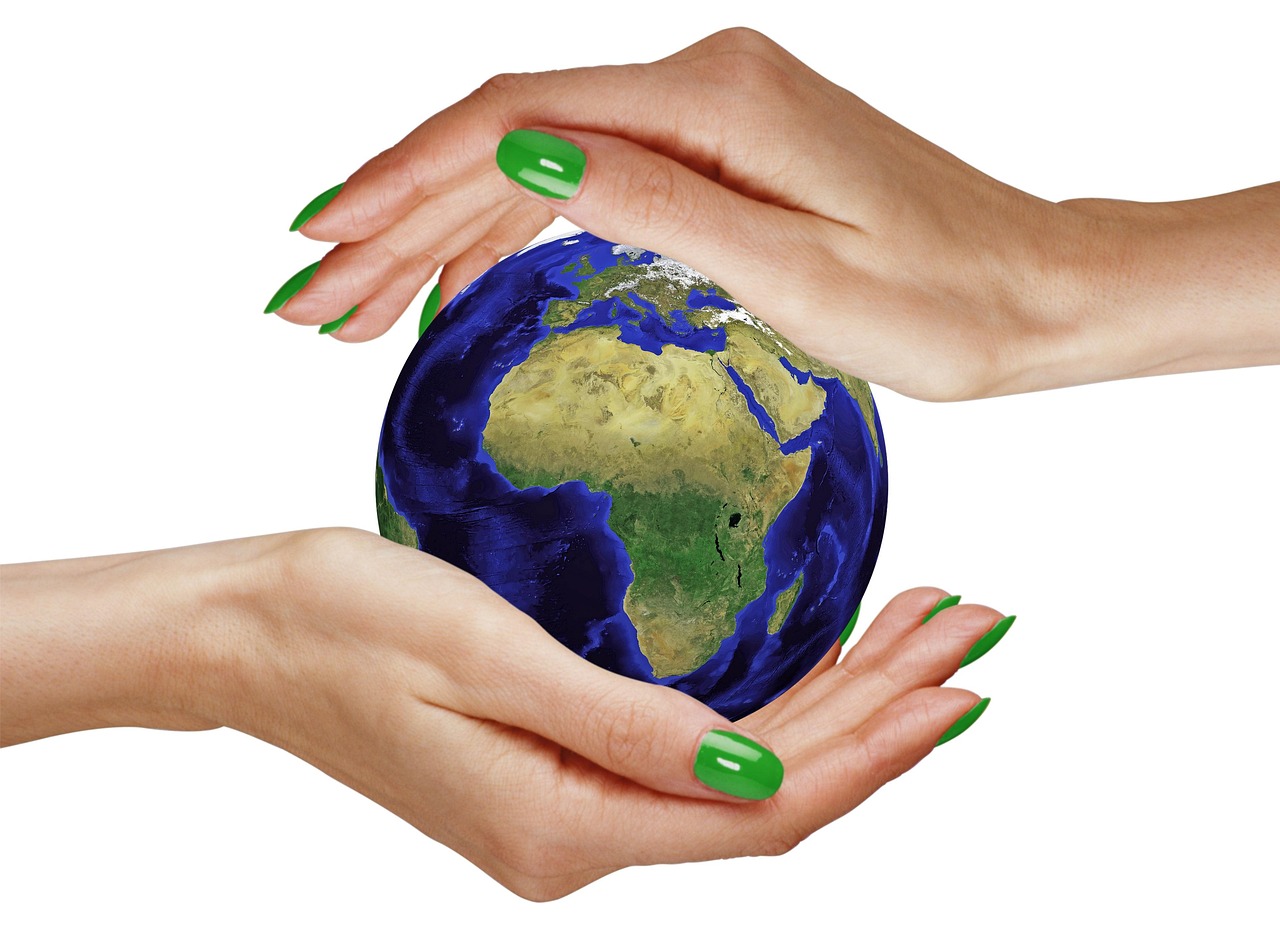 전 세계 기후 정책 트렌드 관련사진