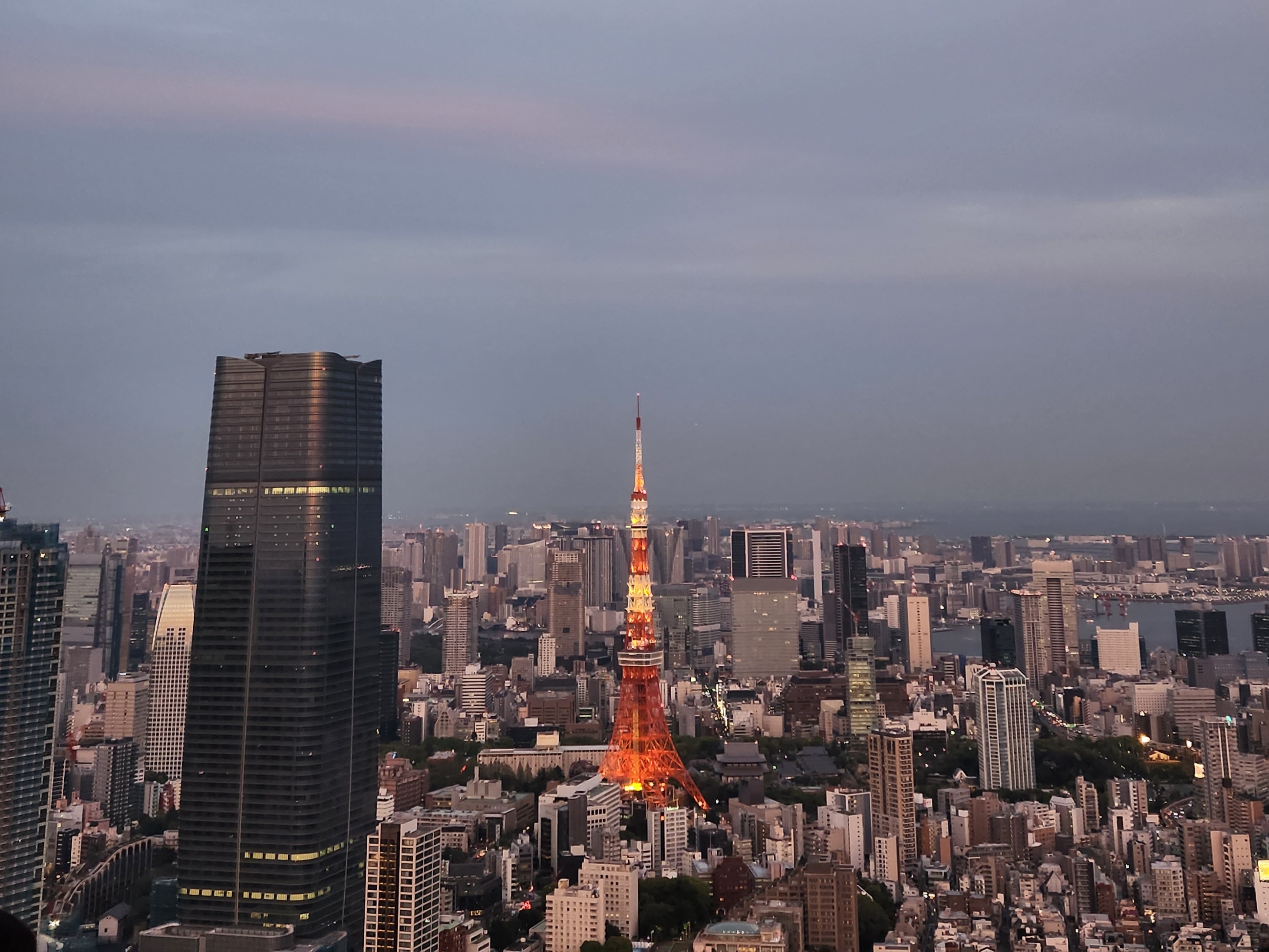도쿄 여행 관련 사진