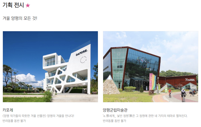 기획전시