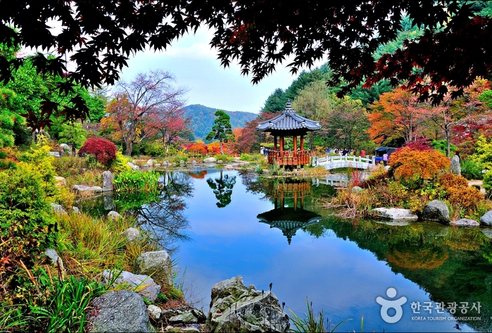 아침고요수목원 입장료