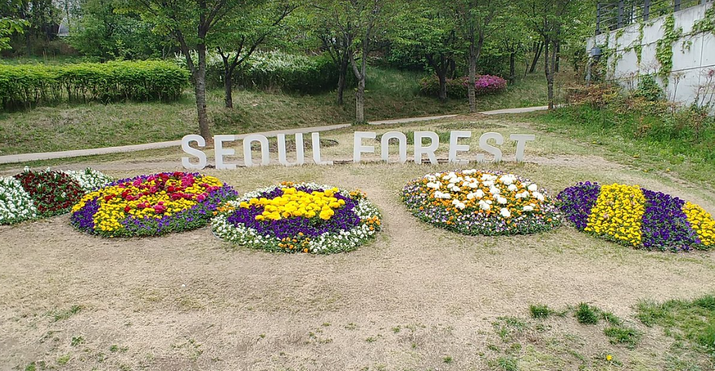서울의 숲