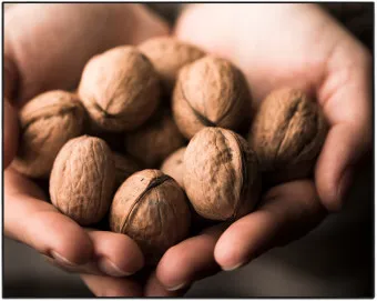 호두 효능 섭취량 칼로리_16