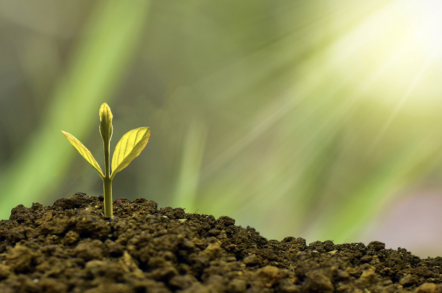 소상공인 추석 지원금24