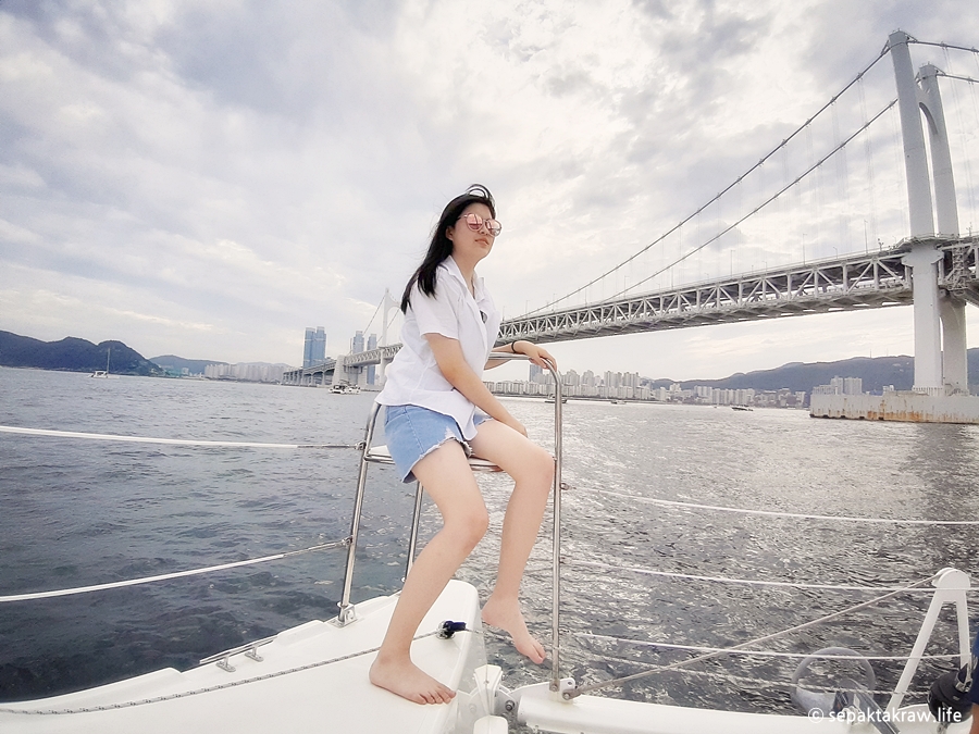 해운대요트투어