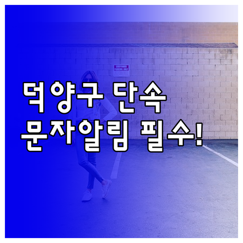 덕양구 주정차 단속 문자 알림 신청 ..