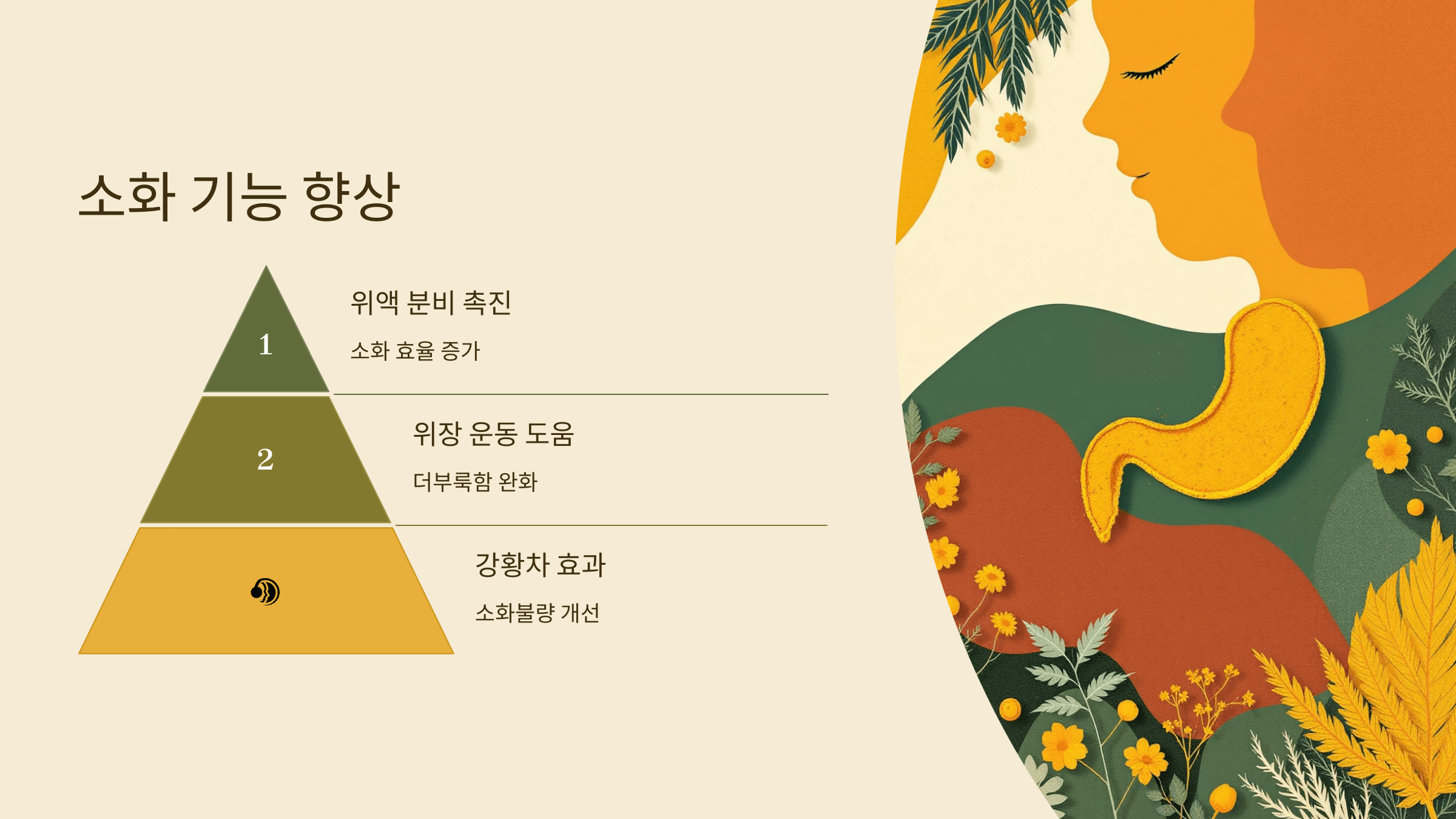 강황가루 사진입니다.