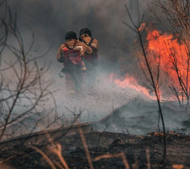 산불을 끄는 소방대원 사진