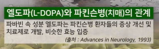 파바빈 효능