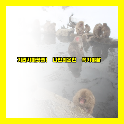 기리시마 호텔 선택 가이드 당신에게 ..