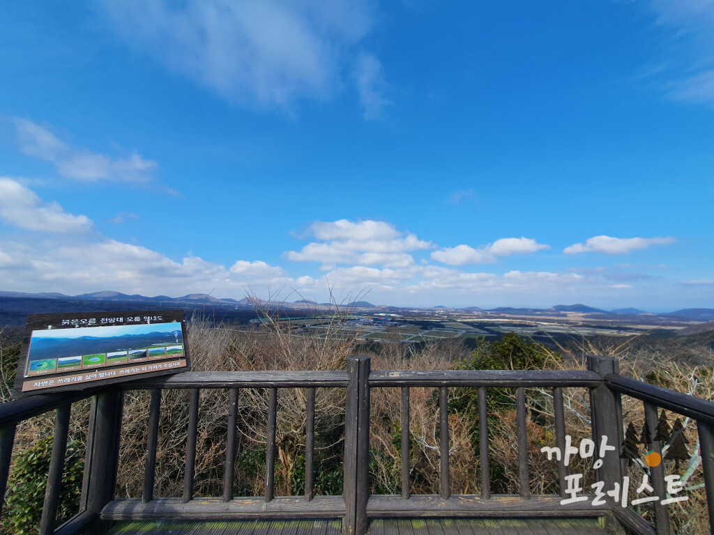 붉은 오름 정상 풍경