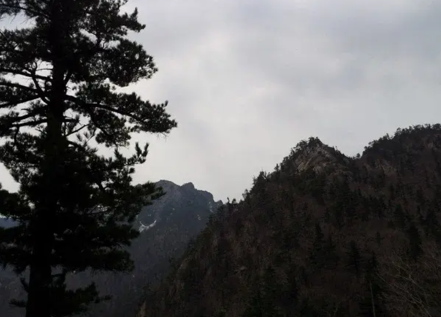 설악산 케이블카 운행시간 예약 방법