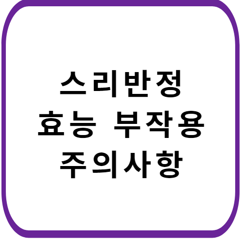 스리반정-가격-주의사항-썸네일