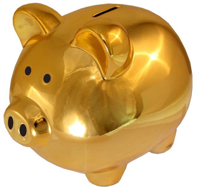 piggy-bank