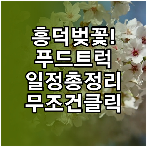 청주 흥덕구 벚꽃 축제 푸드트럭 및 ..