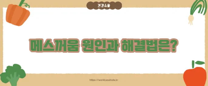 속이 메스껍고 토할 듯한 느낌 (+원인별 대처법)