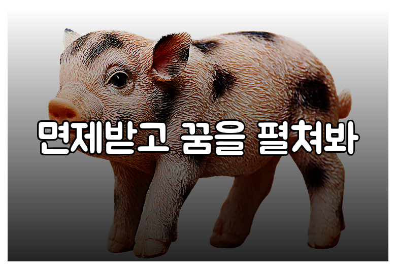 면제받고 꿈을 펼쳐봐