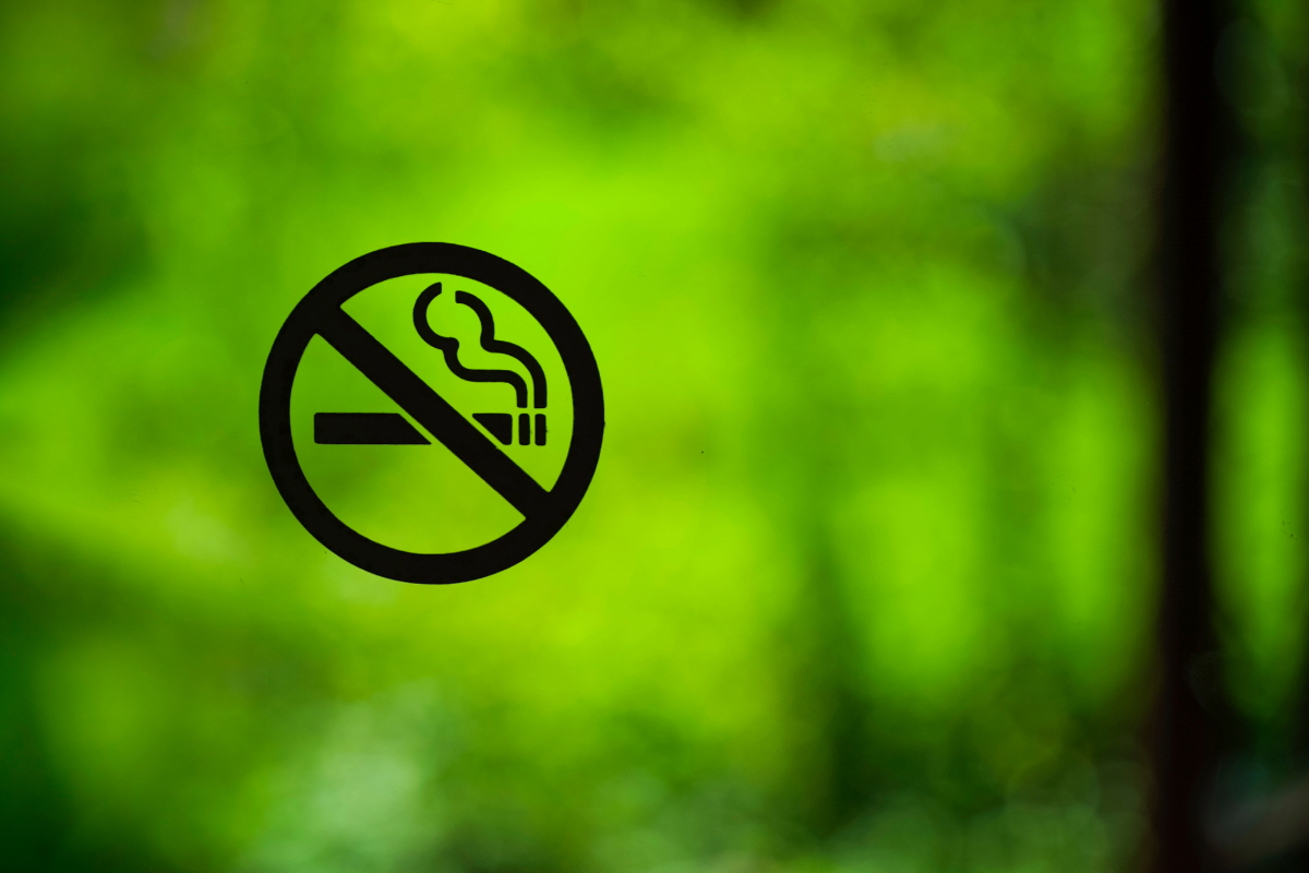 금연 후 몸의변화