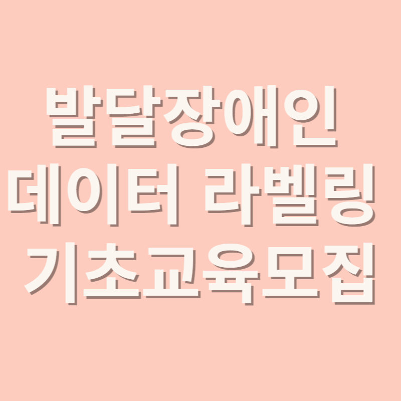발달장애인 데이터라벨링 기초교육모집