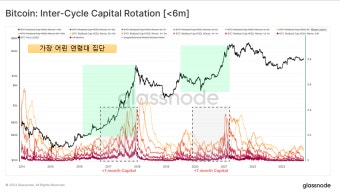 온체인 데이터 분석
