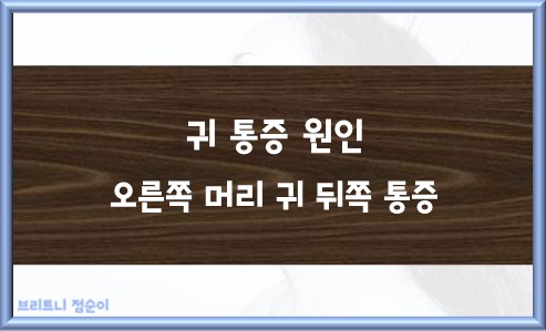 귀 통증 원인 오른쪽 머리 귀 뒤쪽 통증