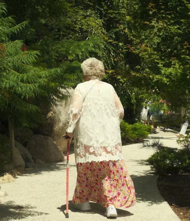 단백질 많은 음식 식물성 동물성