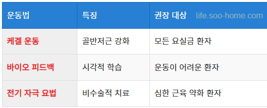 효과적인 운동법(케겔 운동 등)