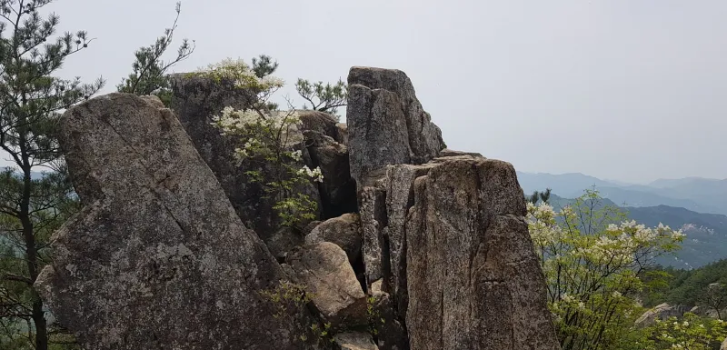 괴산 막장봉
