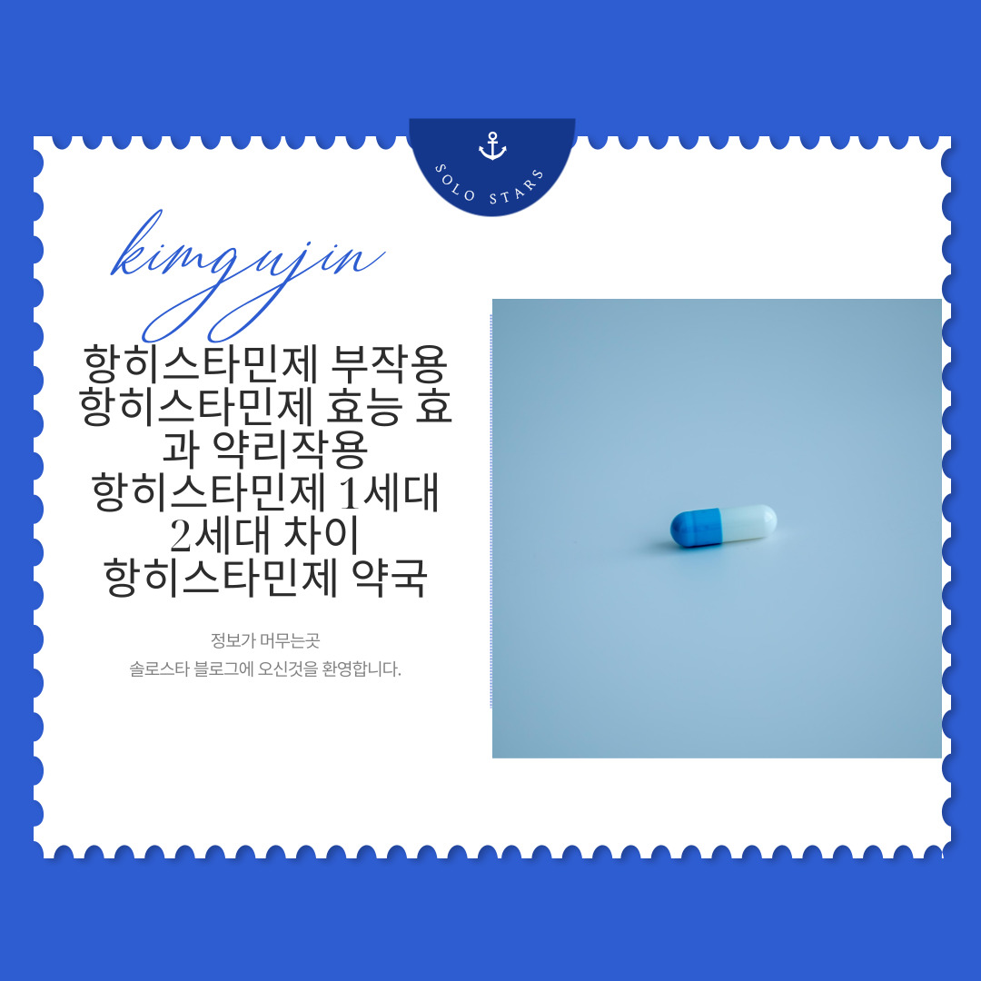 항히스타민제 사진