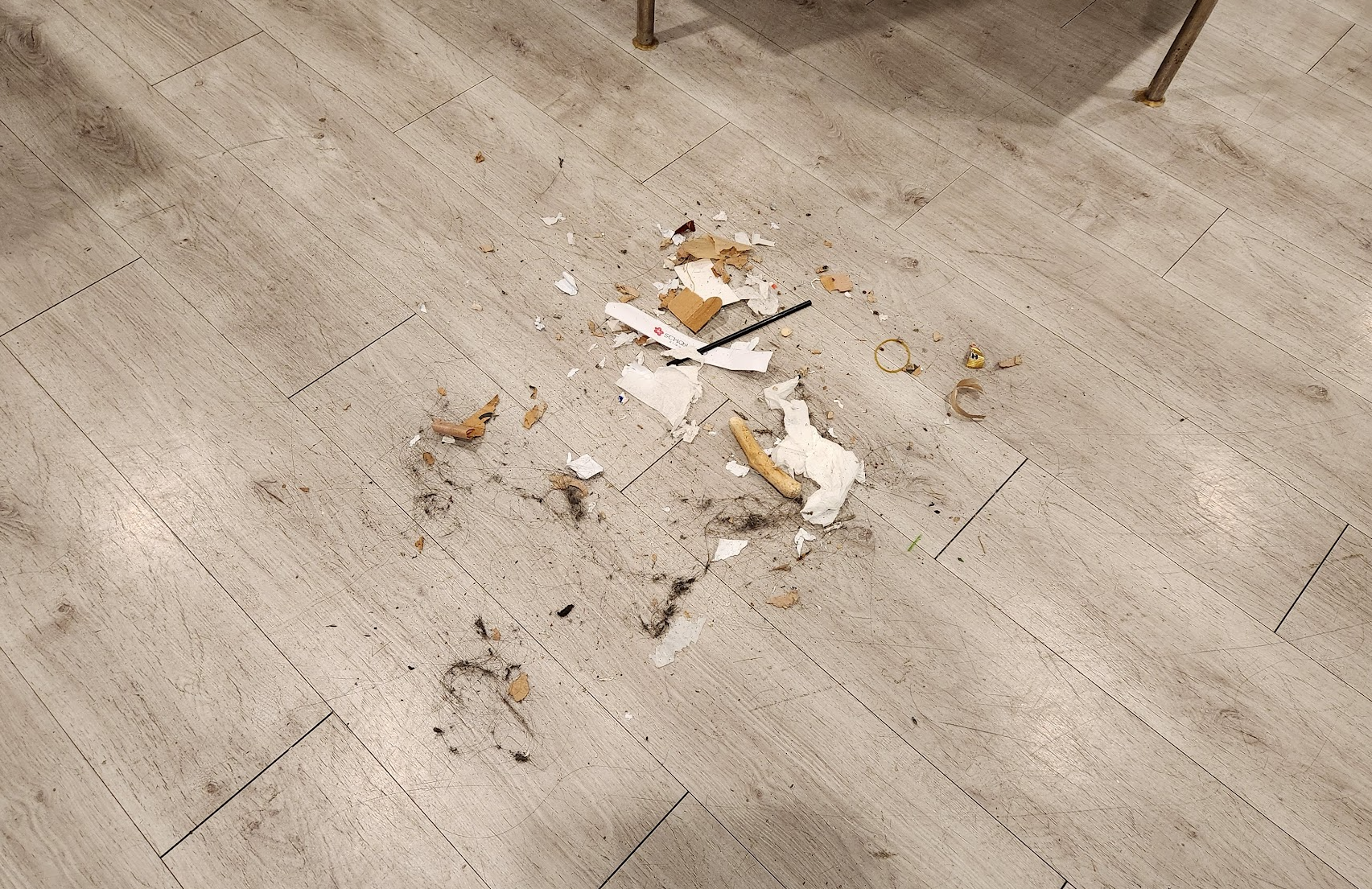 모아놓은 먼지, 쓰레기