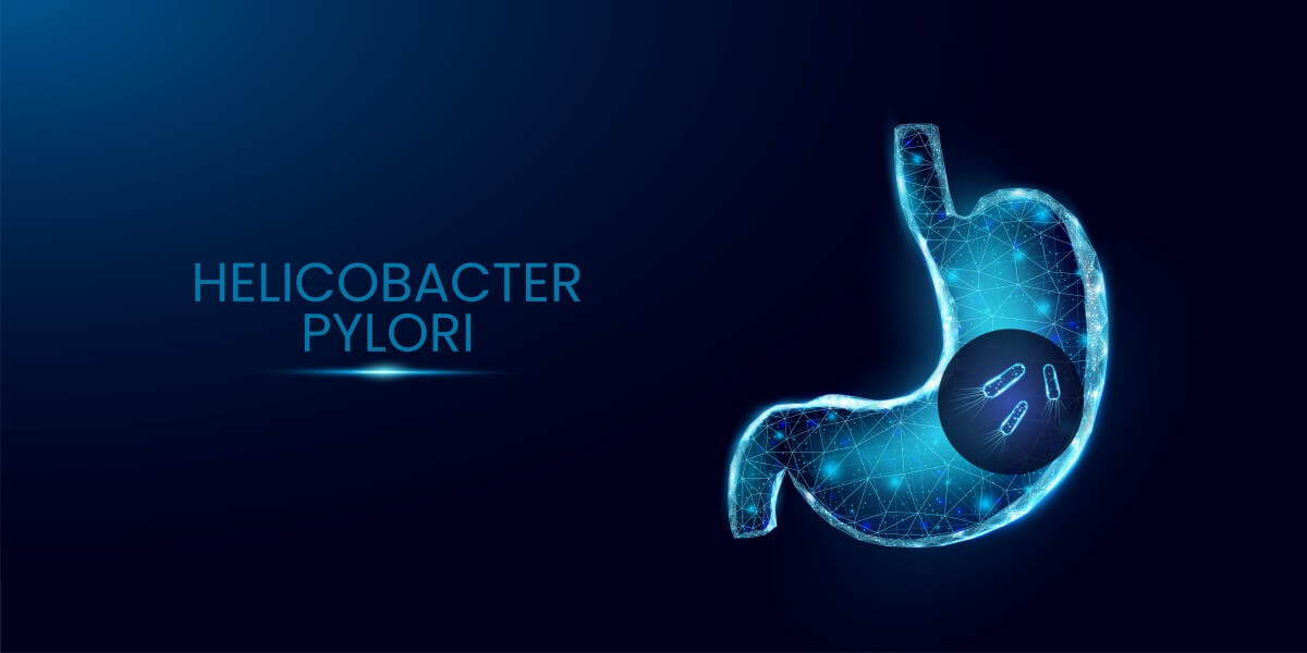 위에-존재하는-헬리코박터균