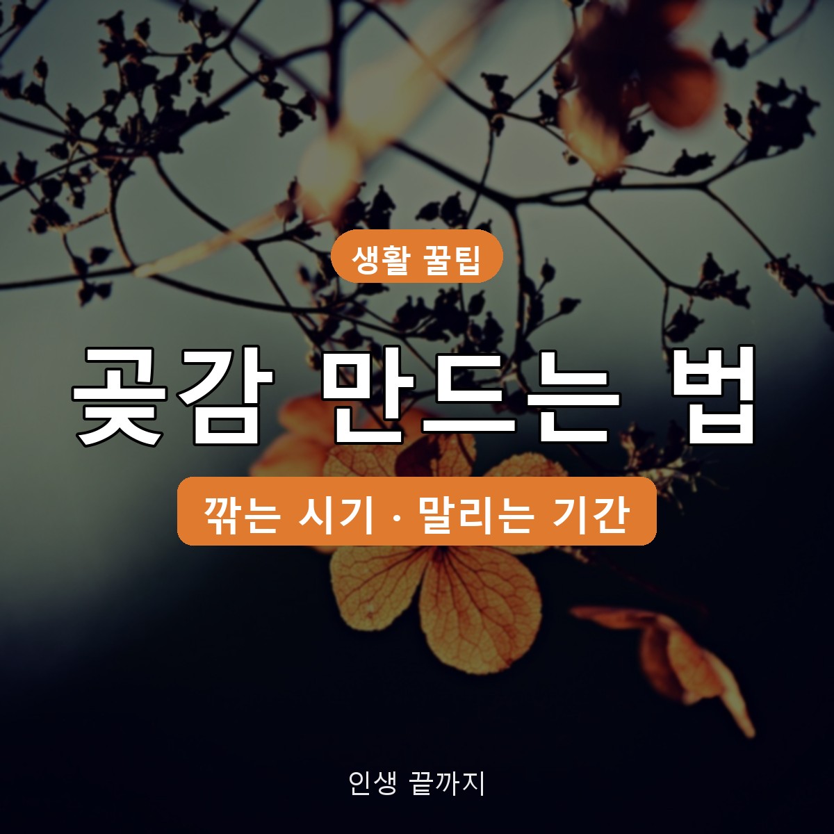 곶감 만드는 법, 깎는 시기부터 반건시 말리는 기간까지 정리