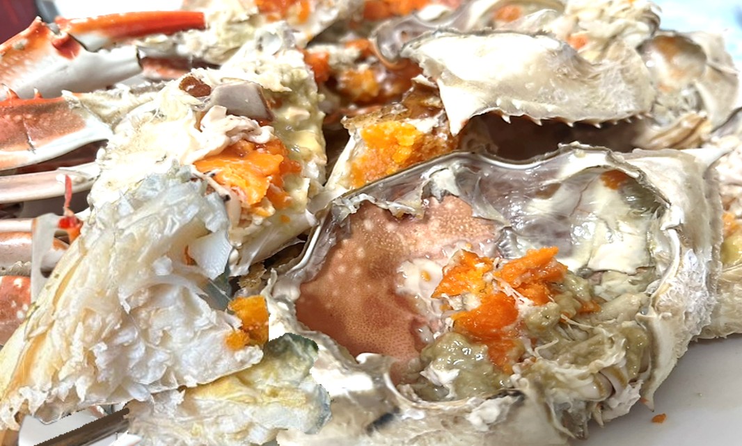 전현무계획2 강화도 꽃게 맛집 성안정 꽃게전문의 살과 알이 꽉찬 꽃게찜