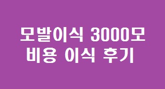 모발이식3000모비용