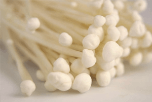 팽이버섯 효능04