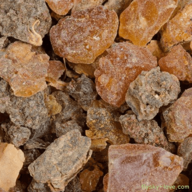 몰약, 미르 (Myrrh), 미르 오일