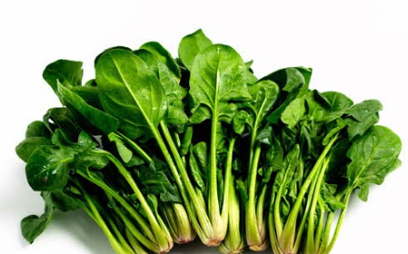 탈모에좋은음식