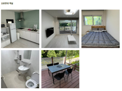 용인 자작나무숲